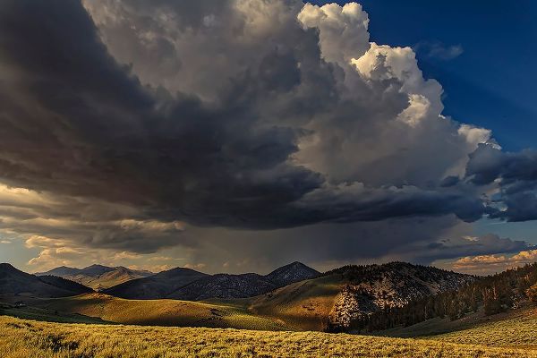 Jones, Adam 아티스트의 Storm clouds rolling in at sunset-White Mountains-Inyo National Forest-California작품입니다.